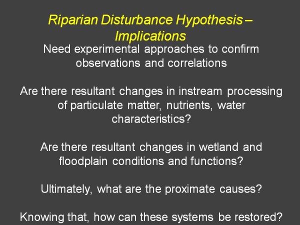 Riparia presentation page 41